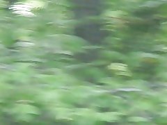 , მეზობელი